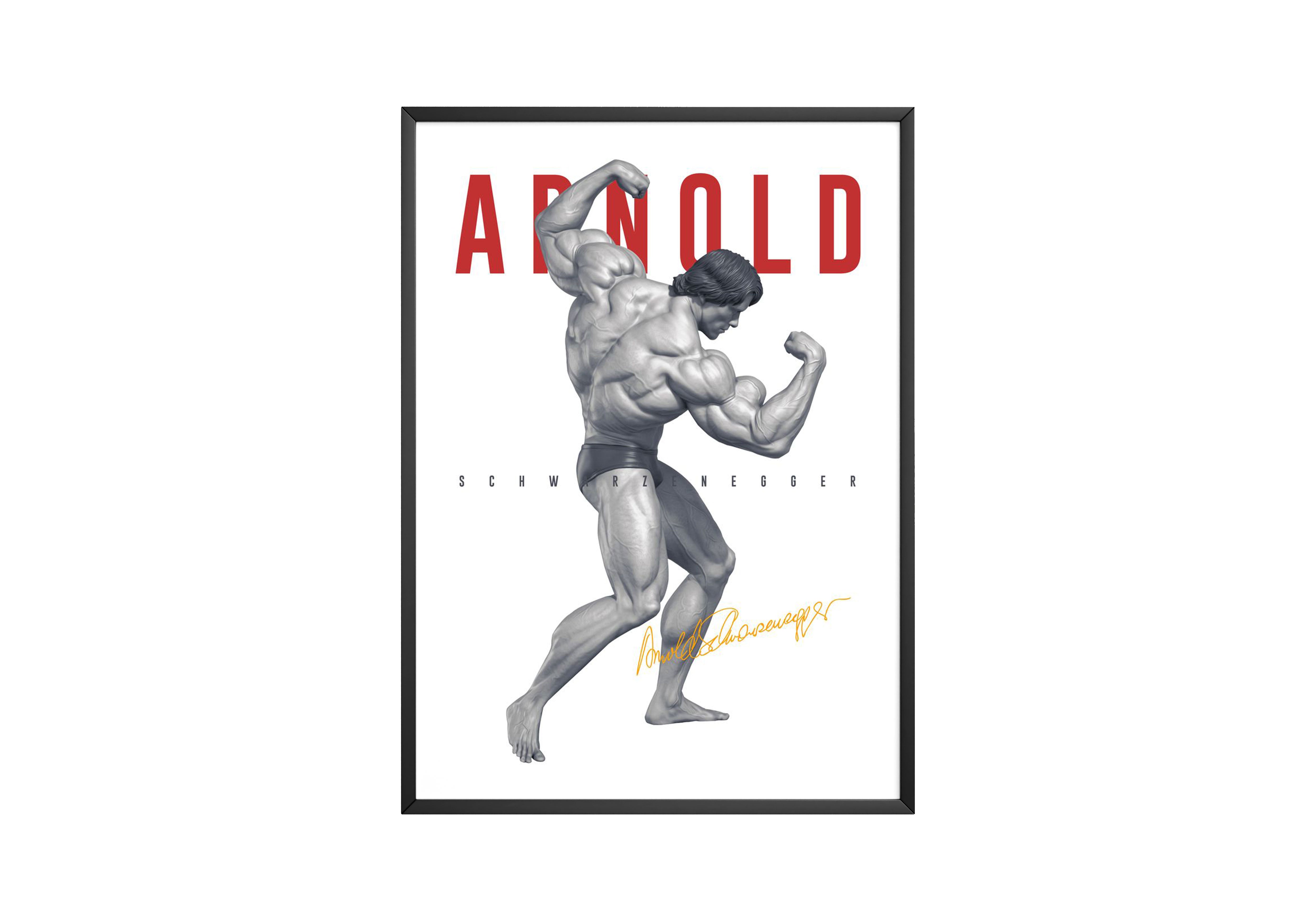 Arnold Schwarzenegger 'Signature' Bodybuilding Poster | Hype Posters