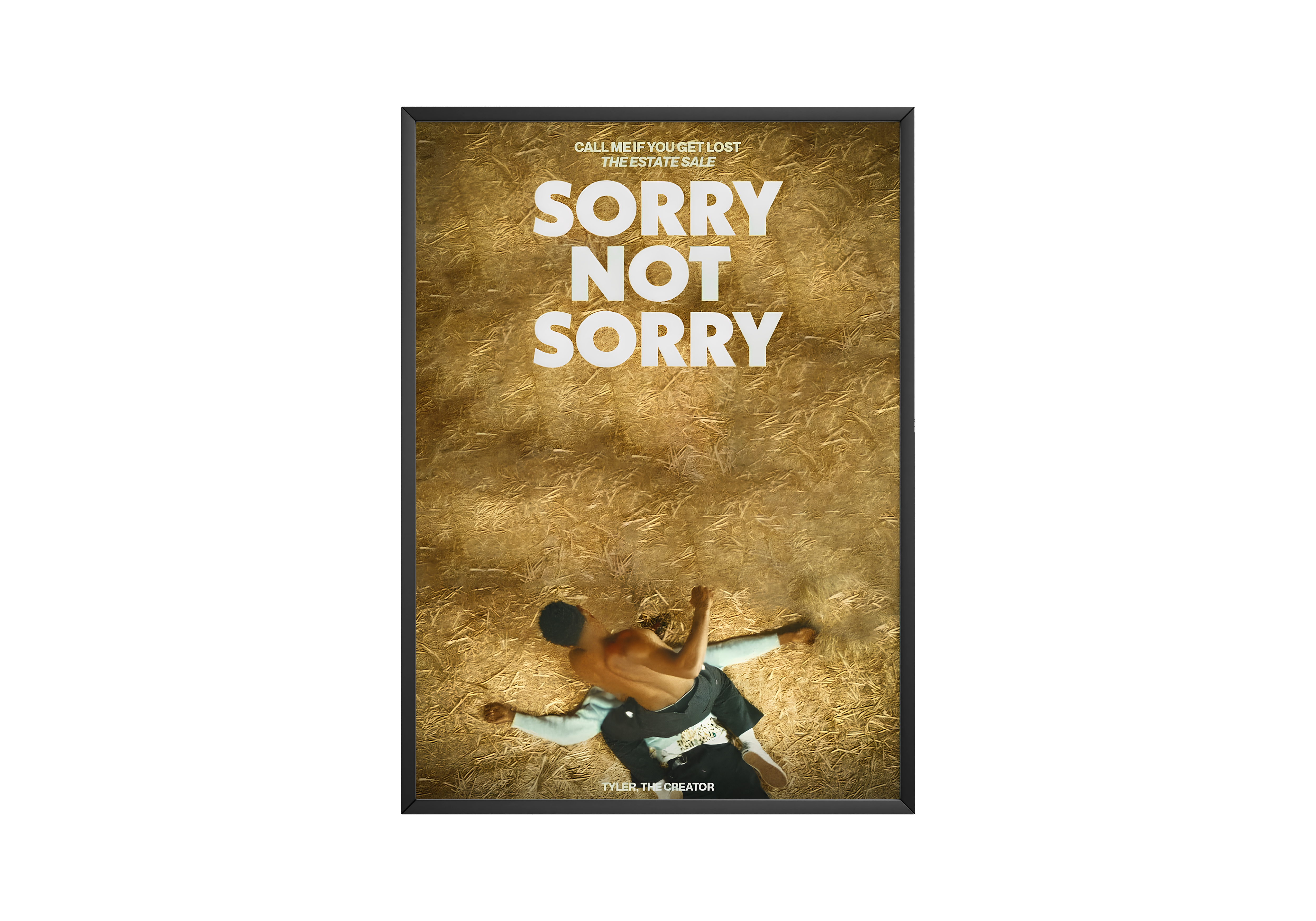 Tyler The Creator 'Sorry Not Sorry' Poster | Hype Posters