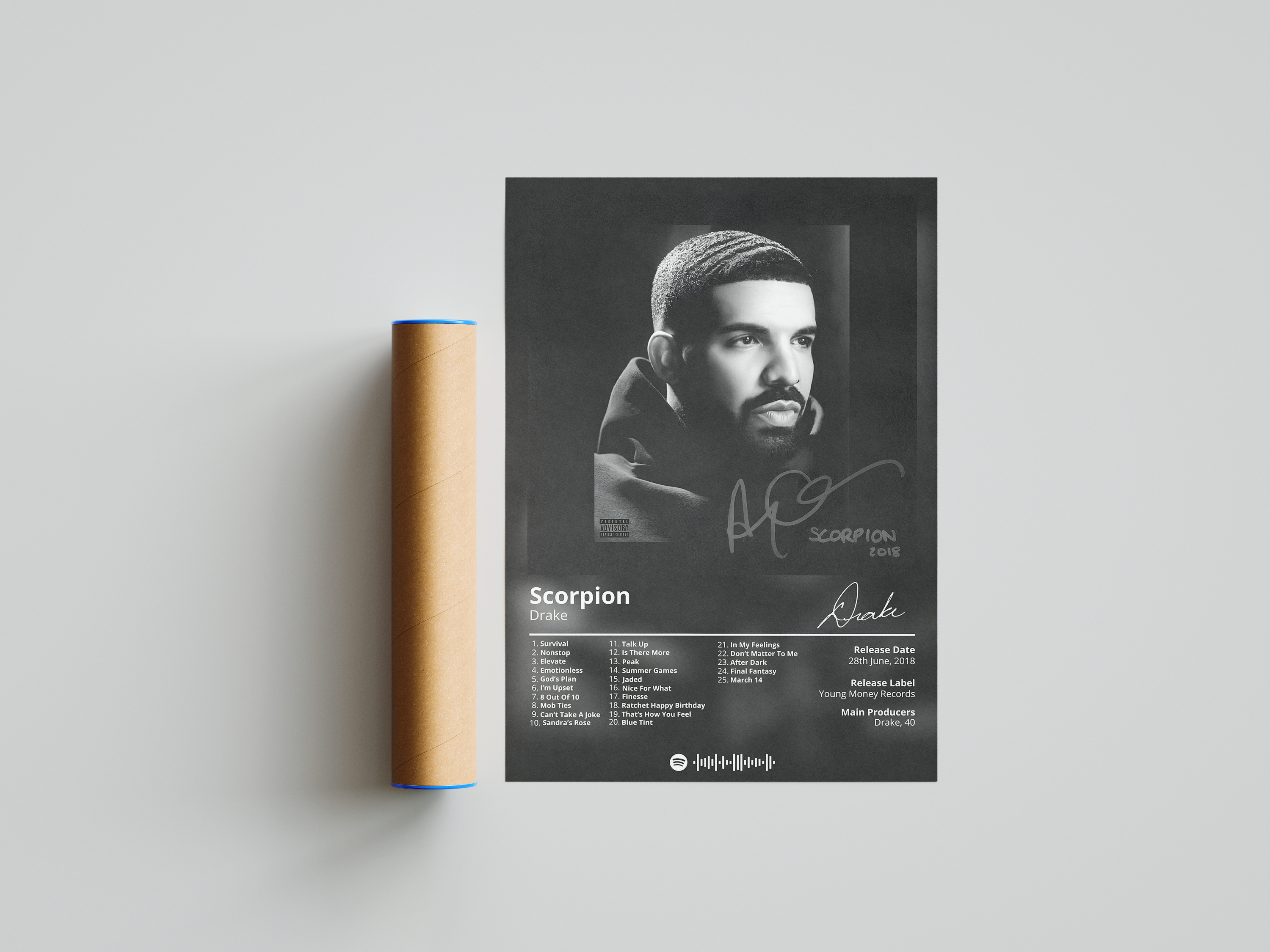 Drake 'Scorpion' Album Poster | Hype Posters