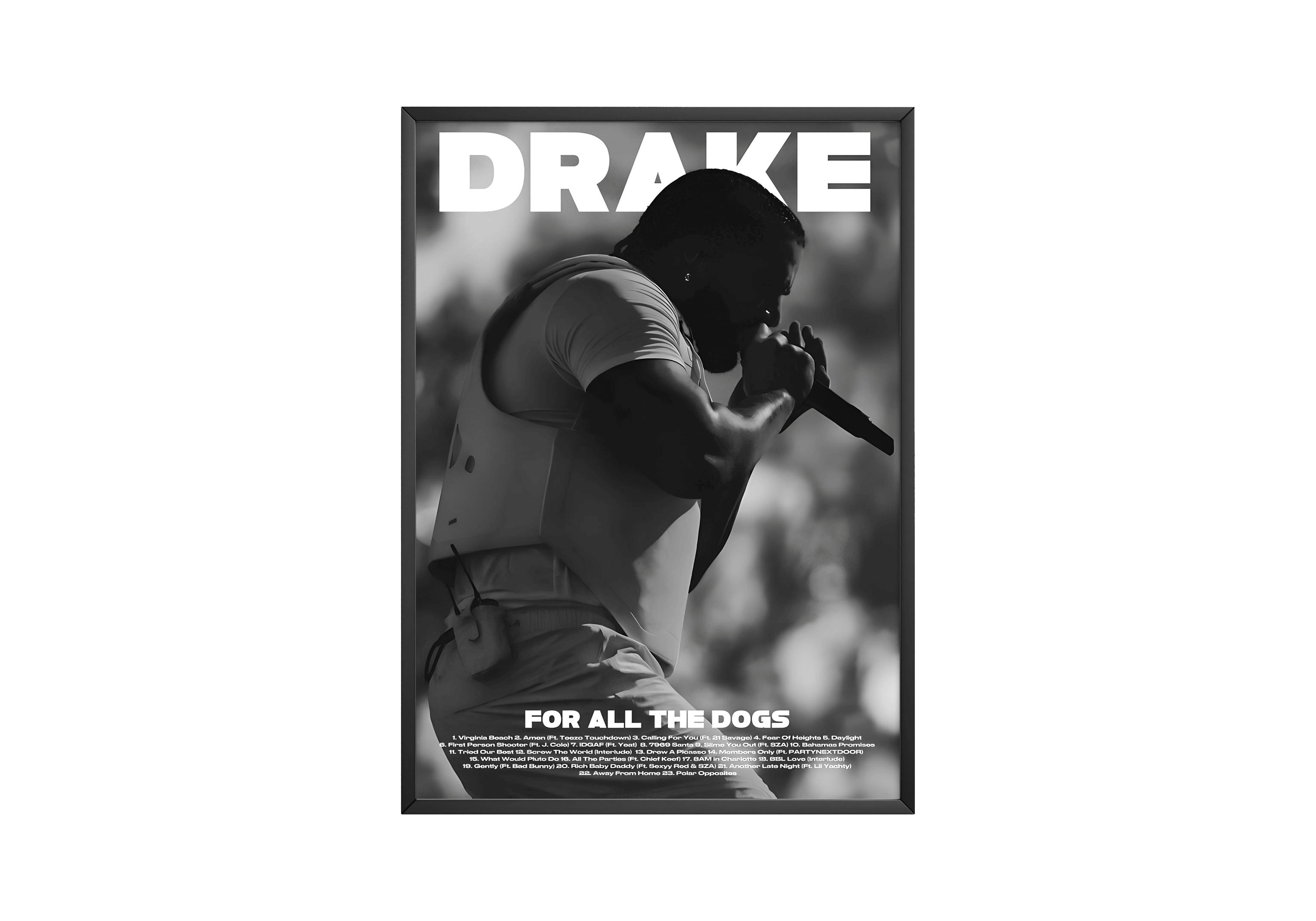 Drake 'For All The Dogs' Poster | Hype Posters