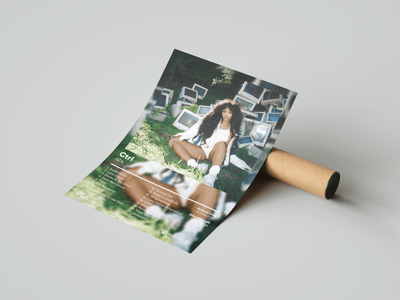 SZA 'Ctrl' Album Poster - Posters, Prints & Wall Art | HYPE Posters